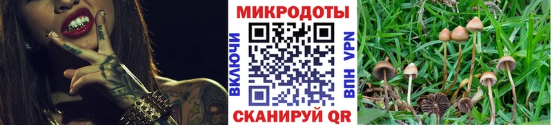 Галлюциногенные грибы прущие грибы  Карачев 